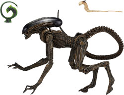 Alien 3 - Dog Alien (Ultimate Figure)